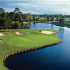 Free Summer Golf