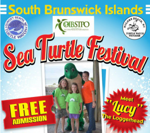 Sea Turtle Festival