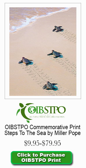 OIBSTPO Print