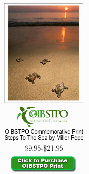 OIBSTPO midnight crawl small