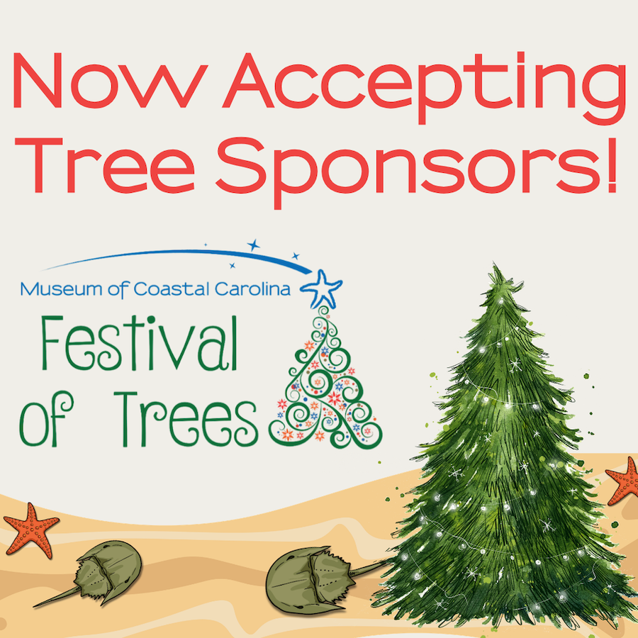 Museum of Coastal Carolina Festival of Trees